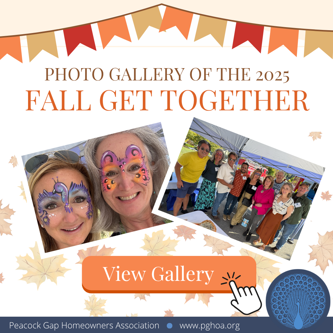 Featured image for “2025 Peacock Gap HOA Fall Get Together”